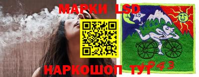 гидропоника Кандалакша