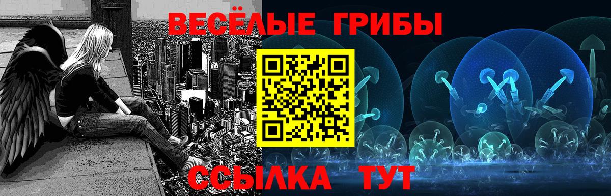 Галлюциногенные грибы MAGIC MUSHROOMS Владимир