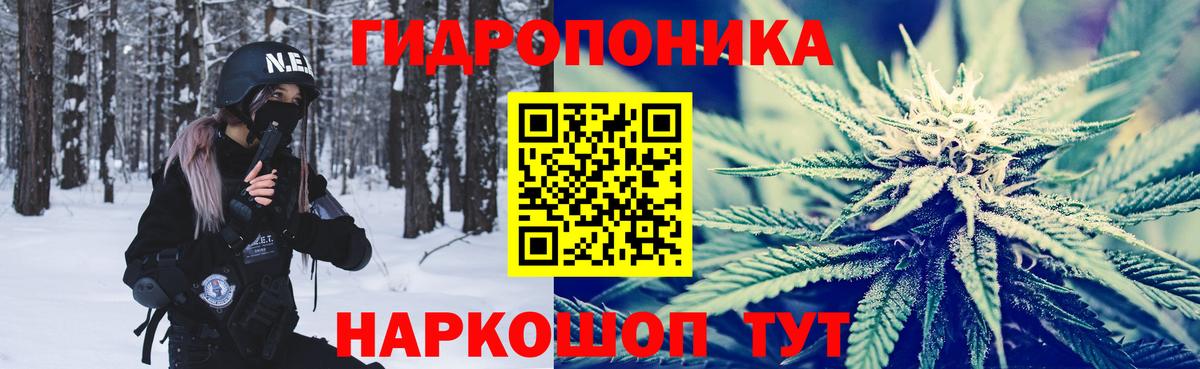Каннабис OG Kush Владимир